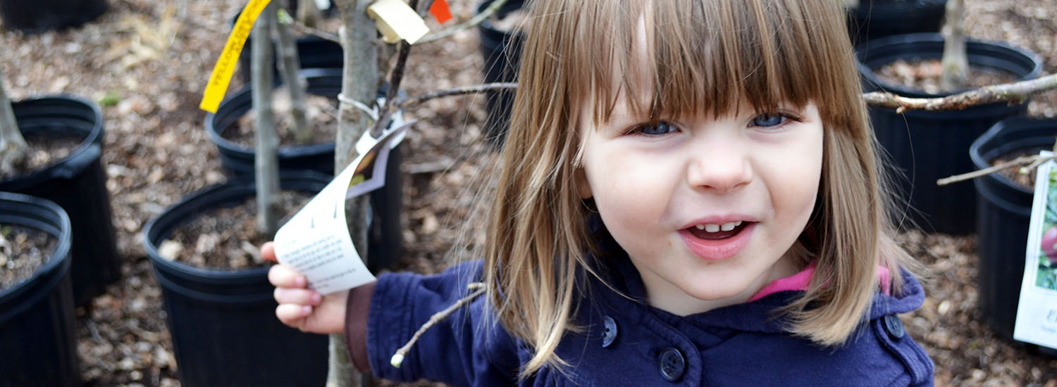 Fruit trees and little girl