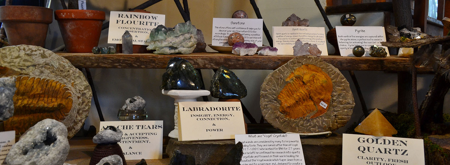 Fossils and minerals